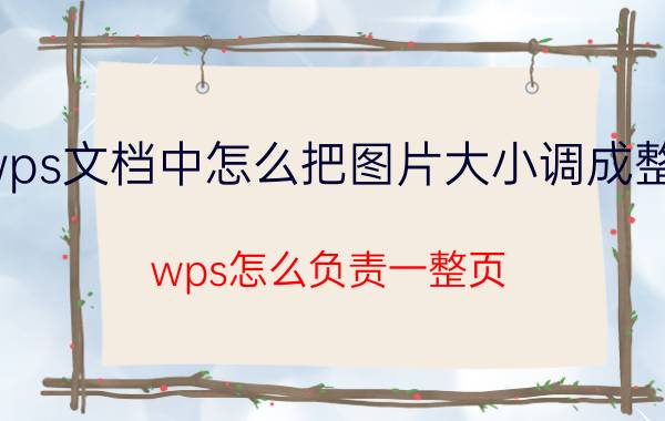 wps文档中怎么把图片大小调成整页 wps怎么负责一整页？